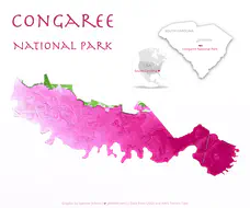 congaree_titled_pink_greens_insta_small.png