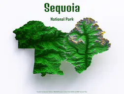 sequoia_titled_green_gold_insta_small.png